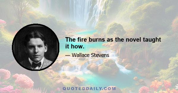 The fire burns as the novel taught it how.