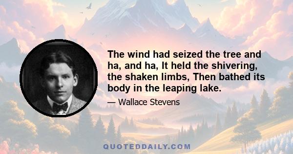 The wind had seized the tree and ha, and ha, It held the shivering, the shaken limbs, Then bathed its body in the leaping lake.