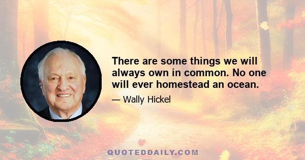 There are some things we will always own in common. No one will ever homestead an ocean.