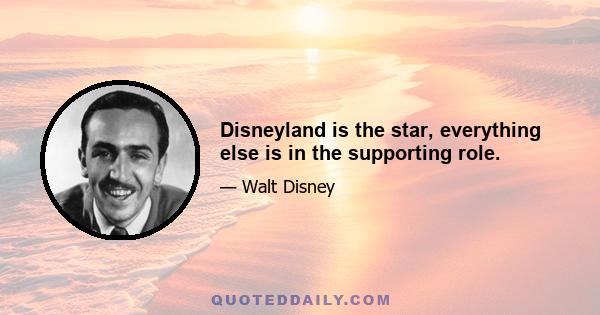 Disneyland is the star, everything else is in the supporting role.