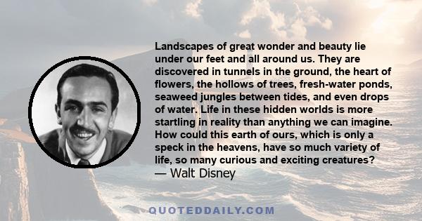 Landscapes of great wonder and beauty lie under our feet and all around us. They are discovered in tunnels in the ground, the heart of flowers, the hollows of trees, fresh-water ponds, seaweed jungles between tides, and 