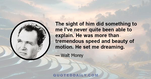 The sight of him did something to me I've never quite been able to explain. He was more than tremendous speed and beauty of motion. He set me dreaming.