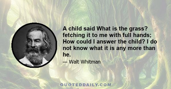 A child said What is the grass? fetching it to me with full hands; How could I answer the child? I do not know what it is any more than he.