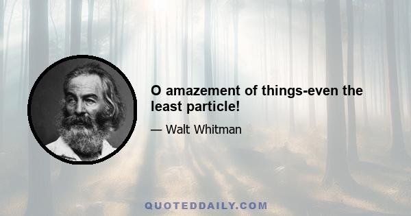 O amazement of things-even the least particle!