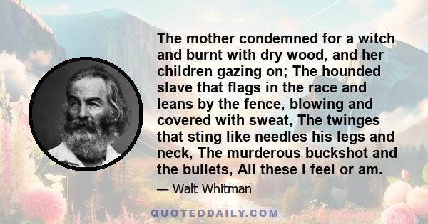 The mother condemned for a witch and burnt with dry wood, and her children gazing on; The hounded slave that flags in the race and leans by the fence, blowing and covered with sweat, The twinges that sting like needles