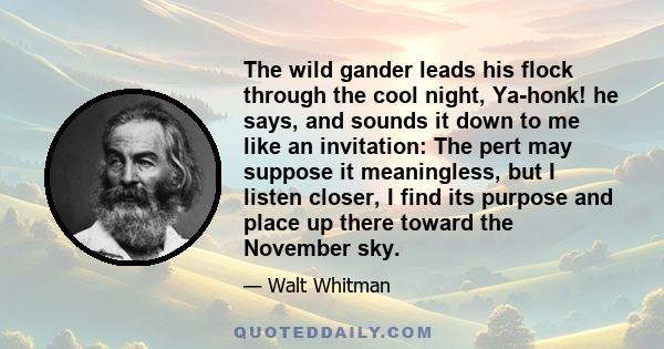 The wild gander leads his flock through the cool night, Ya-honk! he says, and sounds it down to me like an invitation: The pert may suppose it meaningless, but I listen closer, I find its purpose and place up there