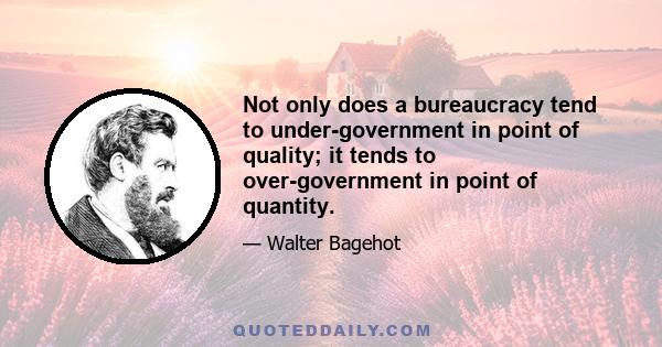 Not only does a bureaucracy tend to under-government in point of quality; it tends to over-government in point of quantity.