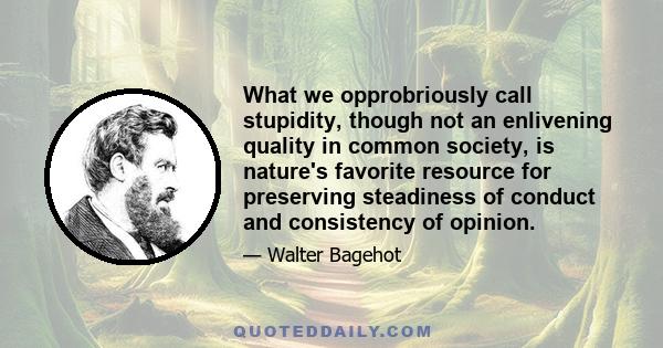 What we opprobriously call stupidity, though not an enlivening quality in common society, is nature's favorite resource for preserving steadiness of conduct and consistency of opinion.