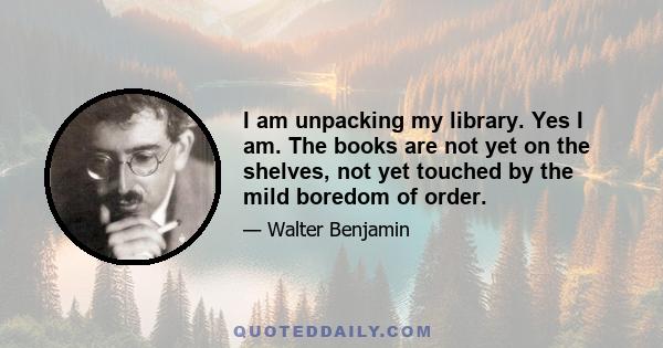 I am unpacking my library. Yes I am. The books are not yet on the shelves, not yet touched by the mild boredom of order.