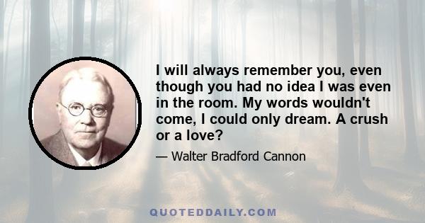 I will always remember you, even though you had no idea I was even in the room. My words wouldn't come, I could only dream. A crush or a love?