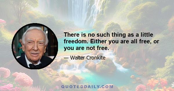 There is no such thing as a little freedom. Either you are all free, or you are not free.