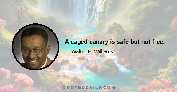 A caged canary is safe but not free.