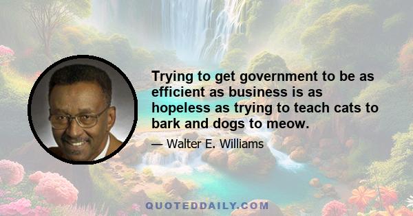 Trying to get government to be as efficient as business is as hopeless as trying to teach cats to bark and dogs to meow.