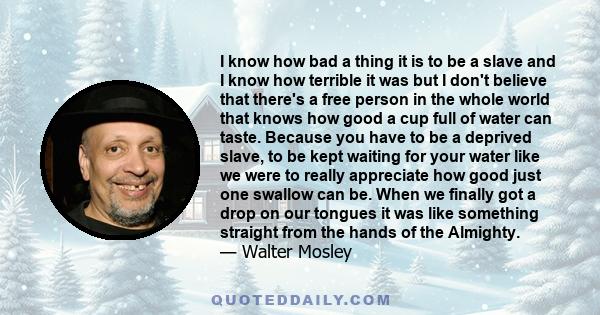 I know how bad a thing it is to be a slave and I know how terrible it was but I don't believe that there's a free person in the whole world that knows how good a cup full of water can taste. Because you have to be a