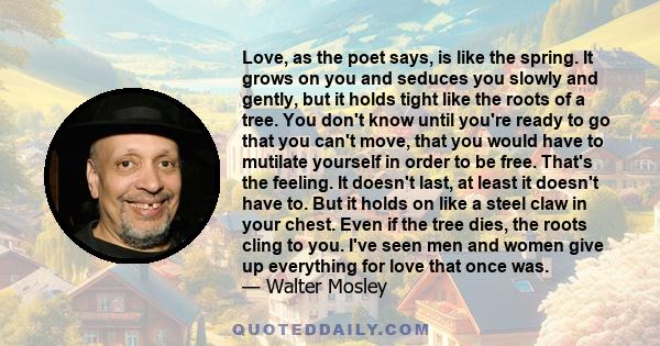 Love, as the poet says, is like the spring. It grows on you and seduces you slowly and gently, but it holds tight like the roots of a tree. You don't know until you're ready to go that you can't move, that you would