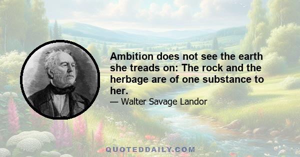 Ambition does not see the earth she treads on: The rock and the herbage are of one substance to her.