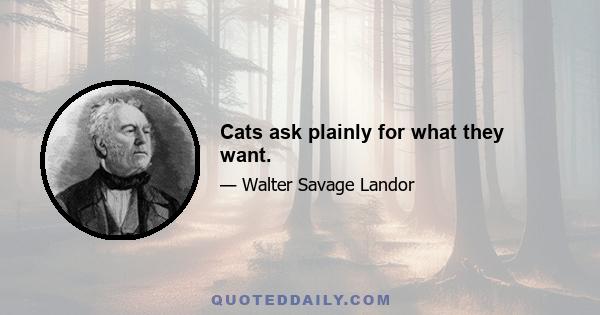 Cats ask plainly for what they want.