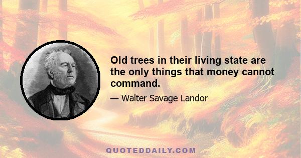 Old trees in their living state are the only things that money cannot command.