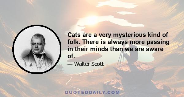 Cats are a very mysterious kind of folk. There is always more passing in their minds than we are aware of.