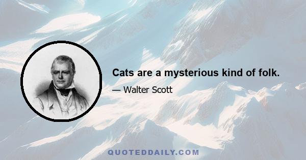 Cats are a mysterious kind of folk.