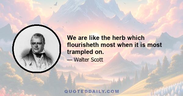 We are like the herb which flourisheth most when it is most trampled on.