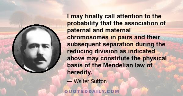 I may finally call attention to the probability that the association of paternal and maternal chromosomes in pairs and their subsequent separation during the reducing division as indicated above may constitute the