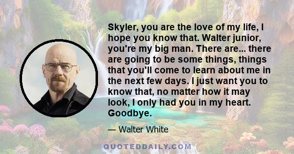 Skyler, you are the love of my life, I hope you know that. Walter junior, you're my big man. There are... there are going to be some things, things that you'll come to learn about me in the next few days. I just want