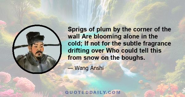 Sprigs of plum by the corner of the wall Are blooming alone in the cold; If not for the subtle fragrance drifting over Who could tell this from snow on the boughs.