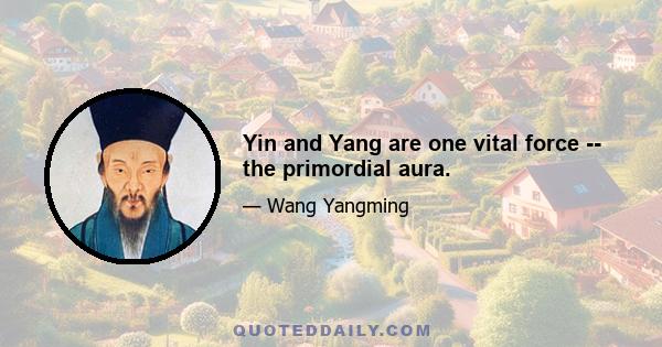 Yin and Yang are one vital force -- the primordial aura.