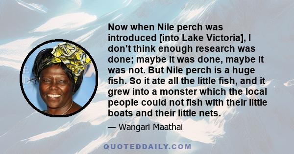 Now when Nile perch was introduced [into Lake Victoria], I don't think enough research was done; maybe it was done, maybe it was not. But Nile perch is a huge fish. So it ate all the little fish, and it grew into a