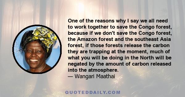 One of the reasons why I say we all need to work together to save the Congo forest, because if we don't save the Congo forest, the Amazon forest and the southeast Asia forest, if those forests release the carbon they