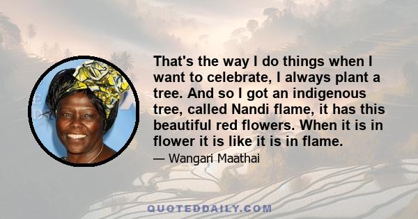 That's the way I do things when I want to celebrate, I always plant a tree. And so I got an indigenous tree, called Nandi flame, it has this beautiful red flowers. When it is in flower it is like it is in flame.