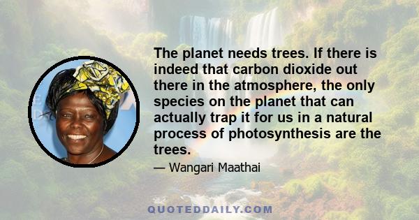 The planet needs trees. If there is indeed that carbon dioxide out there in the atmosphere, the only species on the planet that can actually trap it for us in a natural process of photosynthesis are the trees.