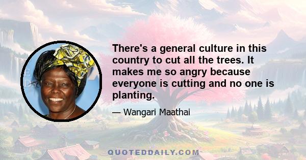 There's a general culture in this country to cut all the trees. It makes me so angry because everyone is cutting and no one is planting.