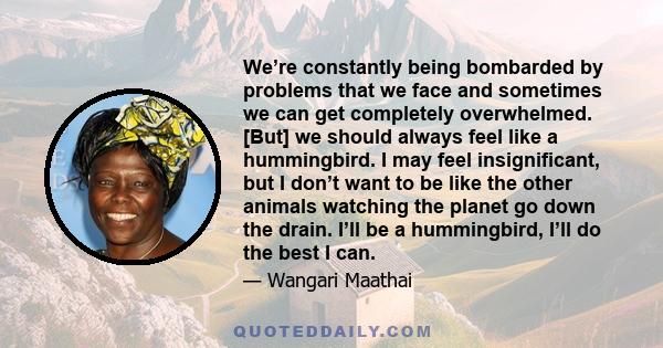 We’re constantly being bombarded by problems that we face and sometimes we can get completely overwhelmed. [But] we should always feel like a hummingbird. I may feel insignificant, but I don’t want to be like the other