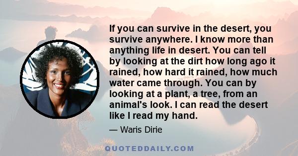 If you can survive in the desert, you survive anywhere. I know more than anything life in desert. You can tell by looking at the dirt how long ago it rained, how hard it rained, how much water came through. You can by