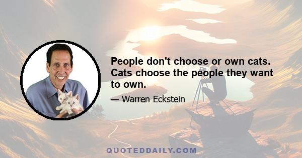 People don't choose or own cats. Cats choose the people they want to own.