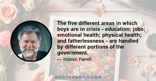 The five different areas in which boys are in crisis - education; jobs; emotional health; physical health; and fatherlessness - are handled by different portions of the government.