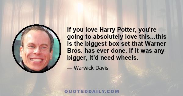 If you love Harry Potter, you're going to absolutely love this...this is the biggest box set that Warner Bros. has ever done. If it was any bigger, it'd need wheels.