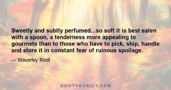 Sweetly and subtly perfumed...so soft it is best eaten with a spoon, a tenderness more appealing to gourmets than to those who have to pick, ship, handle and store it in constant fear of ruinous spoilage.