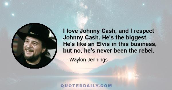 I love Johnny Cash, and I respect Johnny Cash. He's the biggest. He's like an Elvis in this business, but no, he's never been the rebel.