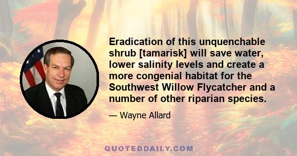 Eradication of this unquenchable shrub [tamarisk] will save water, lower salinity levels and create a more congenial habitat for the Southwest Willow Flycatcher and a number of other riparian species.