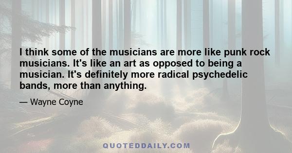 I think some of the musicians are more like punk rock musicians. It's like an art as opposed to being a musician. It's definitely more radical psychedelic bands, more than anything.