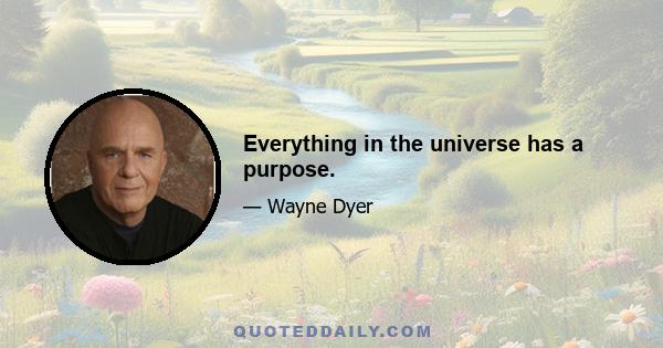 Everything in the universe has a purpose.