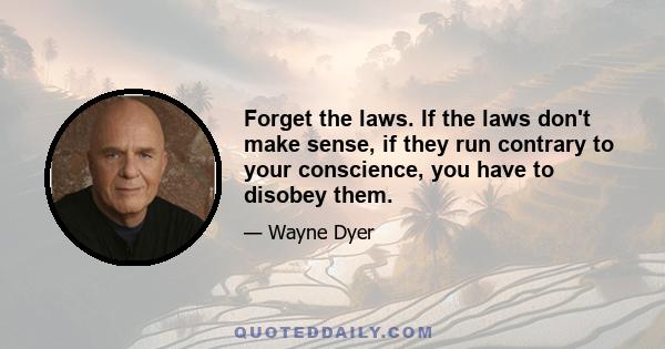 Forget the laws. If the laws don't make sense, if they run contrary to your conscience, you have to disobey them.