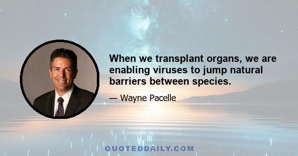 When we transplant organs, we are enabling viruses to jump natural barriers between species.