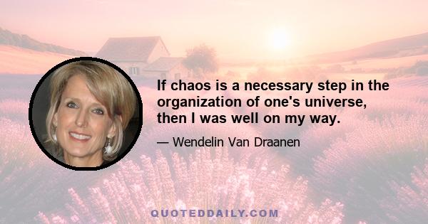 If chaos is a necessary step in the organization of one's universe, then I was well on my way.