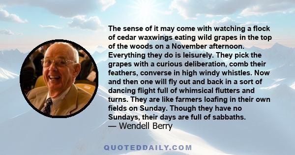 The sense of it may come with watching a flock of cedar waxwings eating wild grapes in the top of the woods on a November afternoon. Everything they do is leisurely. They pick the grapes with a curious deliberation,