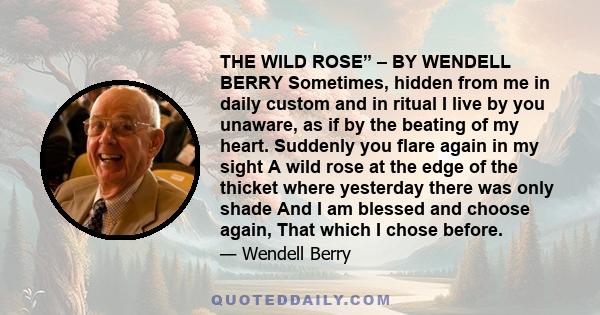 THE WILD ROSE” – BY WENDELL BERRY Sometimes, hidden from me in daily custom and in ritual I live by you unaware, as if by the beating of my heart. Suddenly you flare again in my sight A wild rose at the edge of the