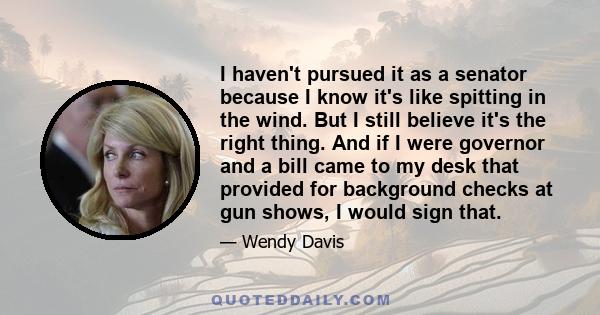 I haven't pursued it as a senator because I know it's like spitting in the wind. But I still believe it's the right thing. And if I were governor and a bill came to my desk that provided for background checks at gun